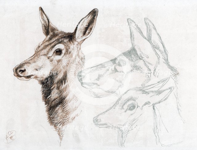 Facsimile of a drawing by Sir E Landseer, 1874.Artist: Edwin Henry Landseer