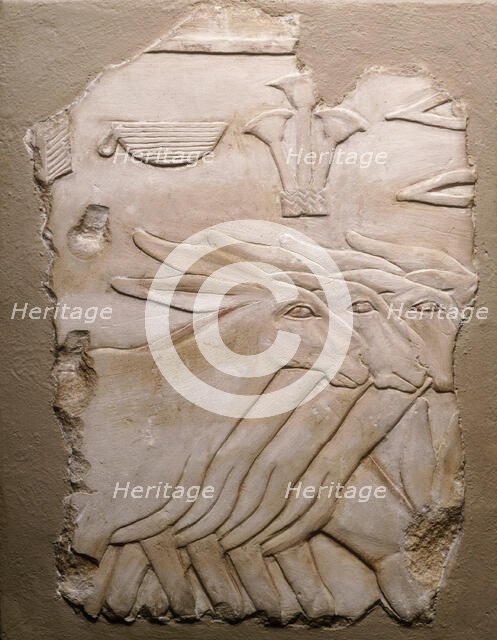 Fragment of a Tomb Wall Depicting Donkeys, Egypt, Old Kingdom, Dynasty 5 (about 2504-2347 BCE). Creator: Unknown.