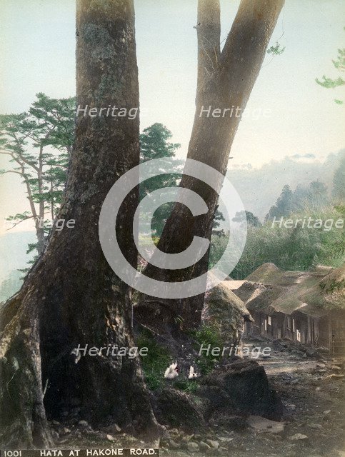 Hata at Hakone Road, Japan, early 20th century(?). Artist: Unknown