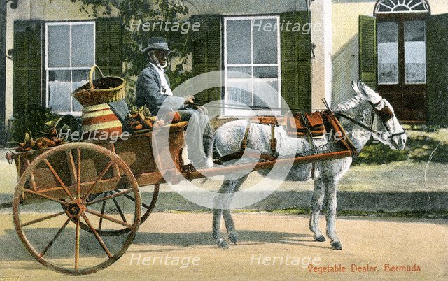 A vegetable dealer, Bermuda, c1900s. Artist: Unknown