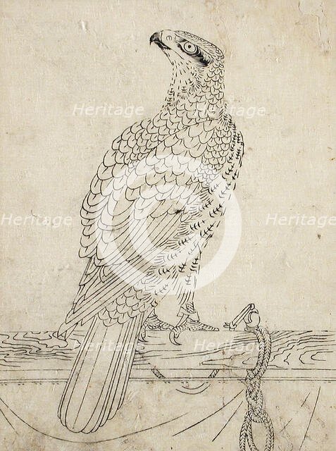 Hawk Tethered to a Perch, 1762. Creator: Unknown.