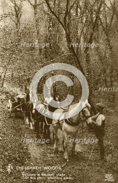 'In the Shady Woods', late 19th or early 20th century. Artist: Unknown