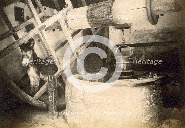 Donkey in the Well House, Carisbrooke Castle, Isle of Wight, c1850-c1900. Artist: FN Broderick.