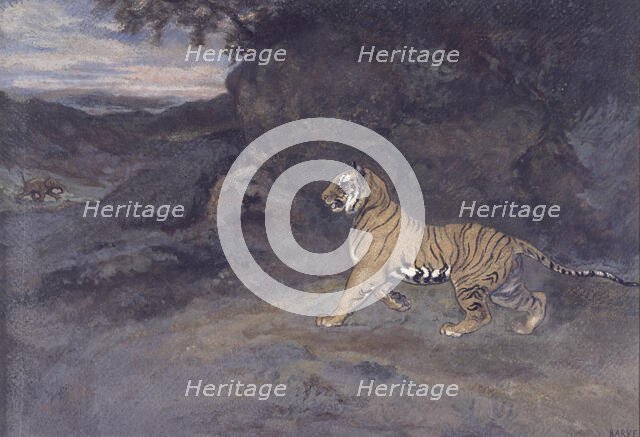 Tiger Watching an Elephant, c1857. Creator: Antoine-Louis Barye.