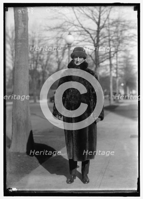 William G. McAdoo, between 1914 and 1918. Creator: Harris & Ewing.