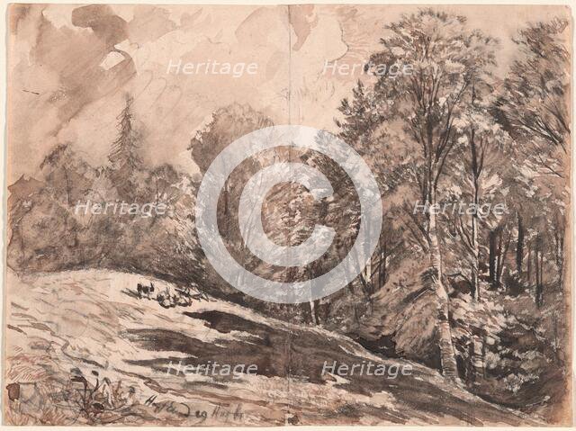 A Meadow with a Shepherd and Goats at the Edge of a Forest, 1861. Creator: Carl Wagner.