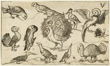 Peacock in centre surrounded by nine other birds, including a turkey, and a butterfly..., 1572. Creator: Virgil Solis.