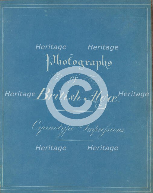 Photographs of British Algae: Cyanotype Impressions, ca. 1853. Creator: Anna Atkins.
