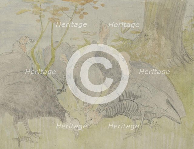 Turkeys in a garden, 1873-1917. Creator: Theo van Hoytema.