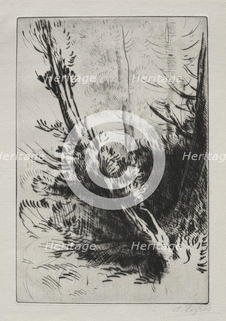 In the Woods. Creator: Alphonse Legros (French, 1837-1911).