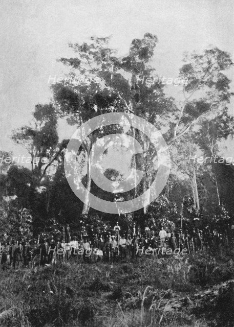 'Matta Virgem', 1895. Artist: Axel Frick.