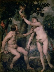Painting by Peter Paul Rubens (1577 - 1640) 'Adam and Eve', copy of Titian's painting, kept in th…