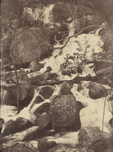 [Trees and Waterfalls], 1860-65. Creator: Charles Nègre.