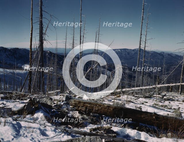 Sangre de Cristo Mts., N.M., 1943. Creator: John Collier.