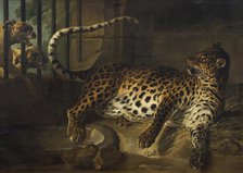 Leopard in a Cage confronted by two Mastiffs, 1739. Creator: Jean-Baptiste Oudry.