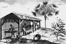 Scene on an American tobacco plantation, 1725. Artist: Unknown