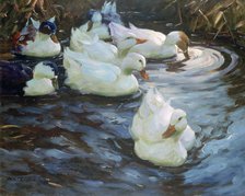 'Ducks on a Pond', c1884-1932. Artist: Alexander Koester