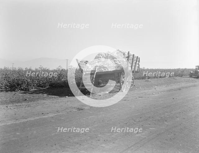 Partially loaded cotton wagon, Southern San Joaquin Valley, California, 1936. Creator: Dorothea Lange.