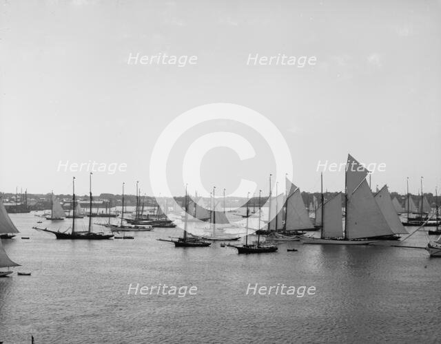 N.Y.Y.C. Fleet, Newport Harbor, August 11, 1888, 1888 Aug 11. Creator: Unknown.
