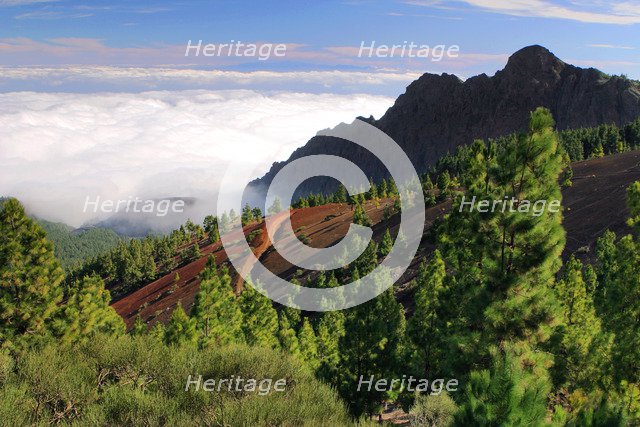 View from Mirador de la Cumbre, Parque Nacional del Teide, Tenerife, Canary Islands, 2007.