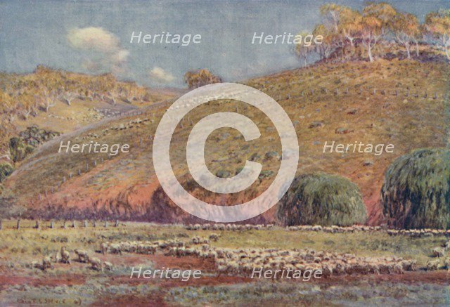 'A Sheep-Run', 1923. Creator: Unknown.