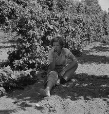 Possibly: Wife of an ex-logger, now a migrat..., Independence (vicinity), Polk County, Oregon, 1939. Creator: Dorothea Lange.