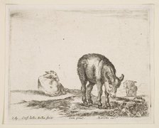 Plate 24: donkeys, from 'Various animals' (Diversi animali), ca. 1641. Creator: Stefano della Bella.