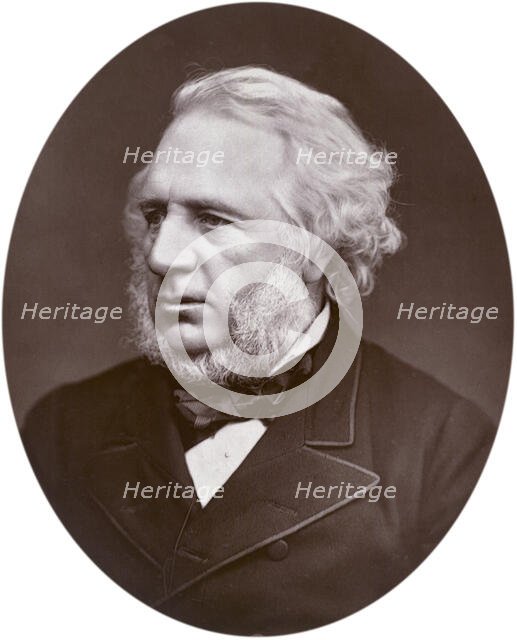 Sir Charles Reed, chairman of the London School Board, 1880. Creator: Lock & Whitfield.