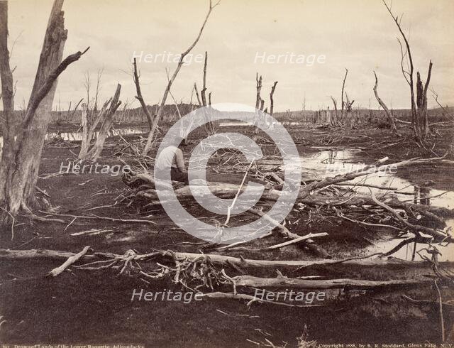 Drowned Lands Of The Raquette Lake, Printed 1888. Creator: Seneca Ray Stoddard.