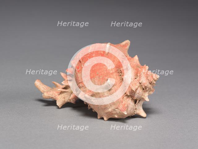 Offering Group: Large Shell, c. 800-1200(?). Creator: Unknown.