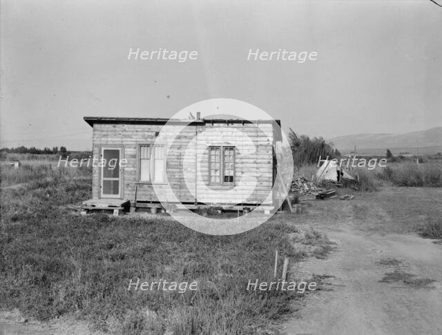 Possibly: Yakima,Washington, 1939. Creator: Dorothea Lange.