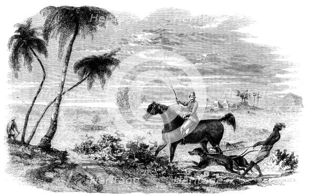 Antelope-Hunting in India - Antelopes driven from Cover, 1858. Creator: Unknown.