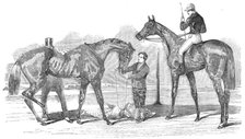 The Doncaster Winners: St. Leger - "Knight of St. George"; Doncaster Cup - "Virago", 1854. Creator: Unknown.