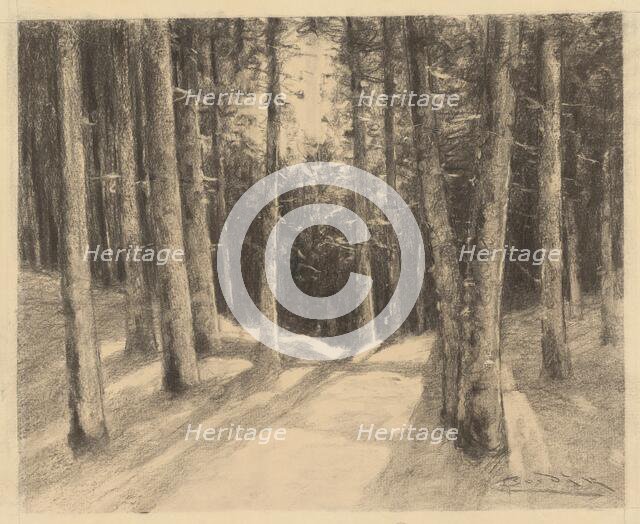 Forest, 1901-1937. Creator: Ludovit Cordak.