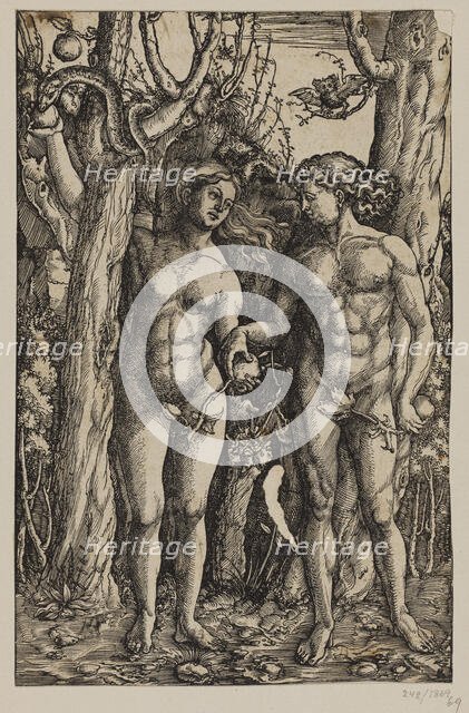 Adam and Eve. Creator: Albrecht Durer.