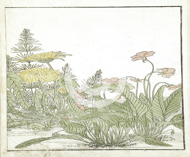 A Mirror of Competing Beauties of the Green Houses (image 20 of 20), 1776. Creators: Shunsho, Kitao Shigemasa.