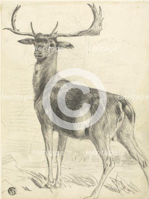 Deer (recto), n.d. Creator: Edwin Henry Landseer.