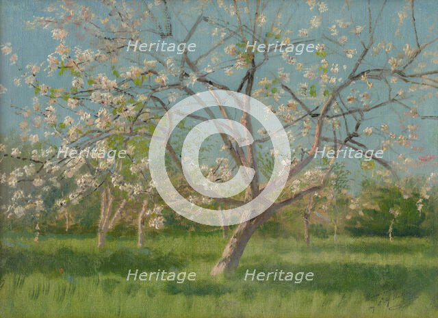 Study of Blooming Trees in an Orchard, around 1900. Creator: Ladislav Mednyanszky.