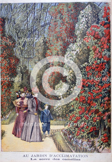 The greenhouse of the camellias, zoological gardens, Paris, 1897. Artist: Henri Meyer