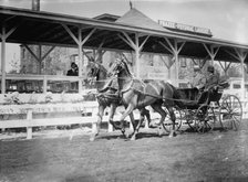 Horse Shows - Team Driven By General Nelson A. Miles, Left, with P. V. Degraw, 1912. Creator: Harris & Ewing.