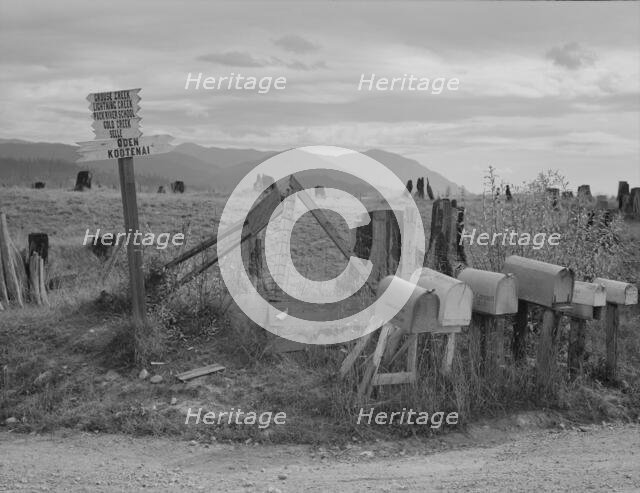 Crossroads off the highway in cut-over area, Boundary County, Idaho, 1939. Creator: Dorothea Lange.