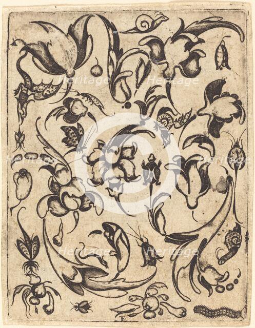 Ornament. Creator: Master T.F..