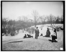 Coasting in Central Park, New York, between 1900 and 1906. Creator: Unknown.