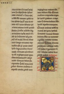 A Heron; De Natura Avium; De Pastoribus et Ovibus, 1277 or after. Creator: Unknown.