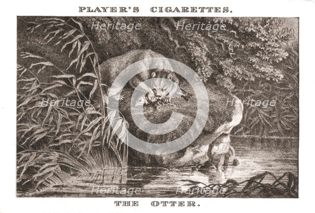 'The Otter', (1924). Creator: Unknown.