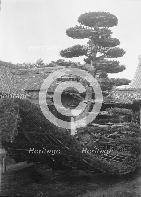 Travel views of Japan and Korea, 1908. Creator: Arnold Genthe.