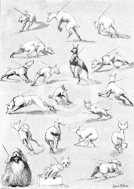 Nature's Fitful Moments: sketches at the Kennel Club Dog Show, 1890. Creator: Carl Hentschel.