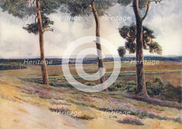 'View from Staple Hill', 1911, (1914). Artist: James S Ogilvy.