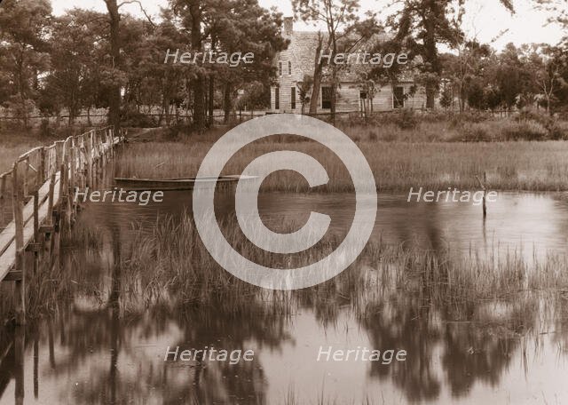 Brownsville marsh, Nassawadox, Northampton County, Virginia, between c1930 and 1939. Creator: Frances Benjamin Johnston.
