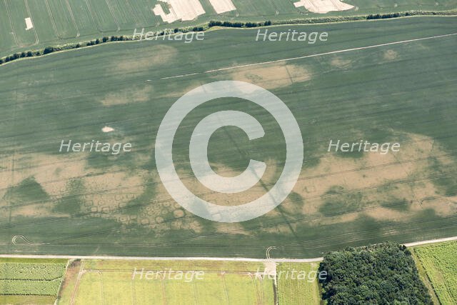 Iron Age square barrow cemetery crop mark on Haisthorpe Moor, East Riding of Yorkshire, 2018. Creator: Historic England.